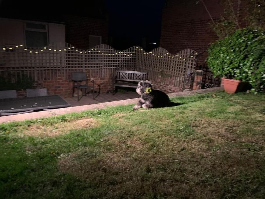 Award Winning Pet Friendly Paddock Cottage Whitby Exterior foto
